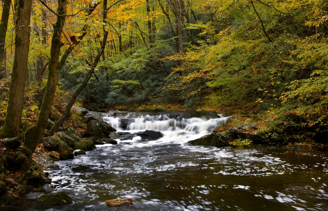 Great Smoky Mountains National Park Tickets [2025] Promos