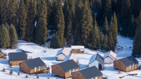 bai ya · bai jing wan ye she ying di