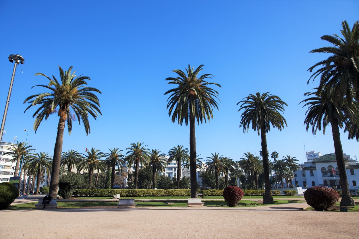 United Nations Square