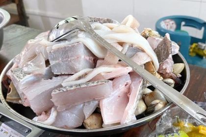 Tan men gang hai xian da pai dang