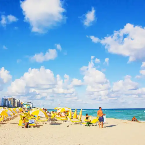 Popular Activities in Miami