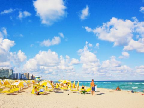 Chicago To Miami Flights