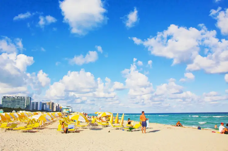 Popular Activities in Miami