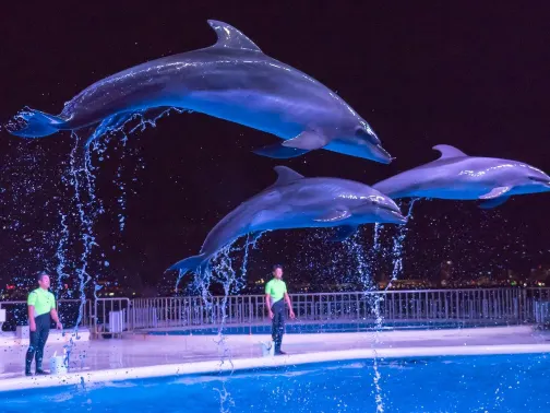海洋世界海之中道