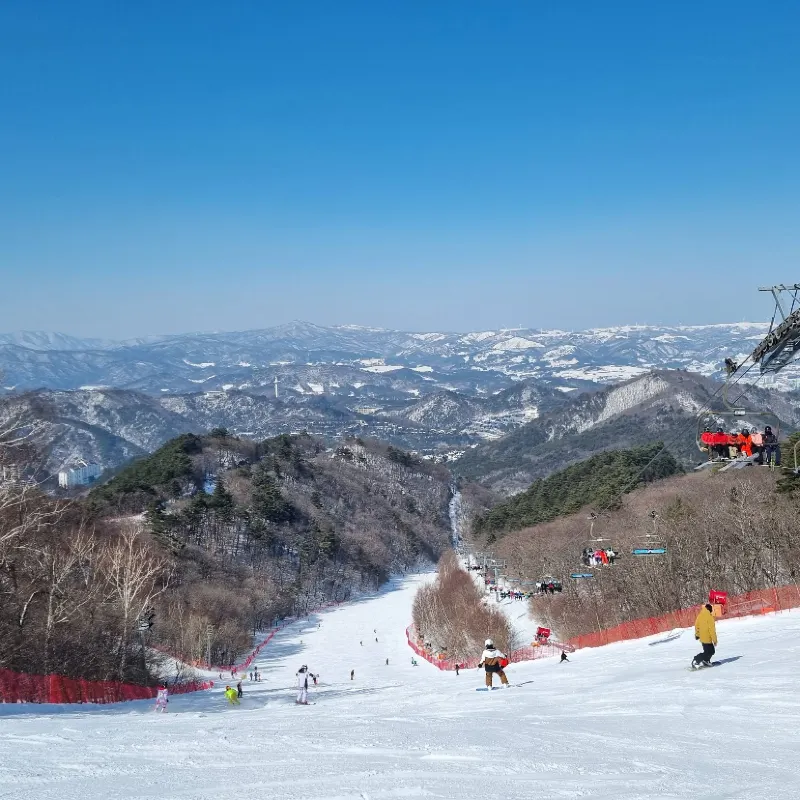 龍平滑雪場