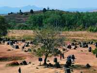 A UNESCO Heritage Site - Laos 