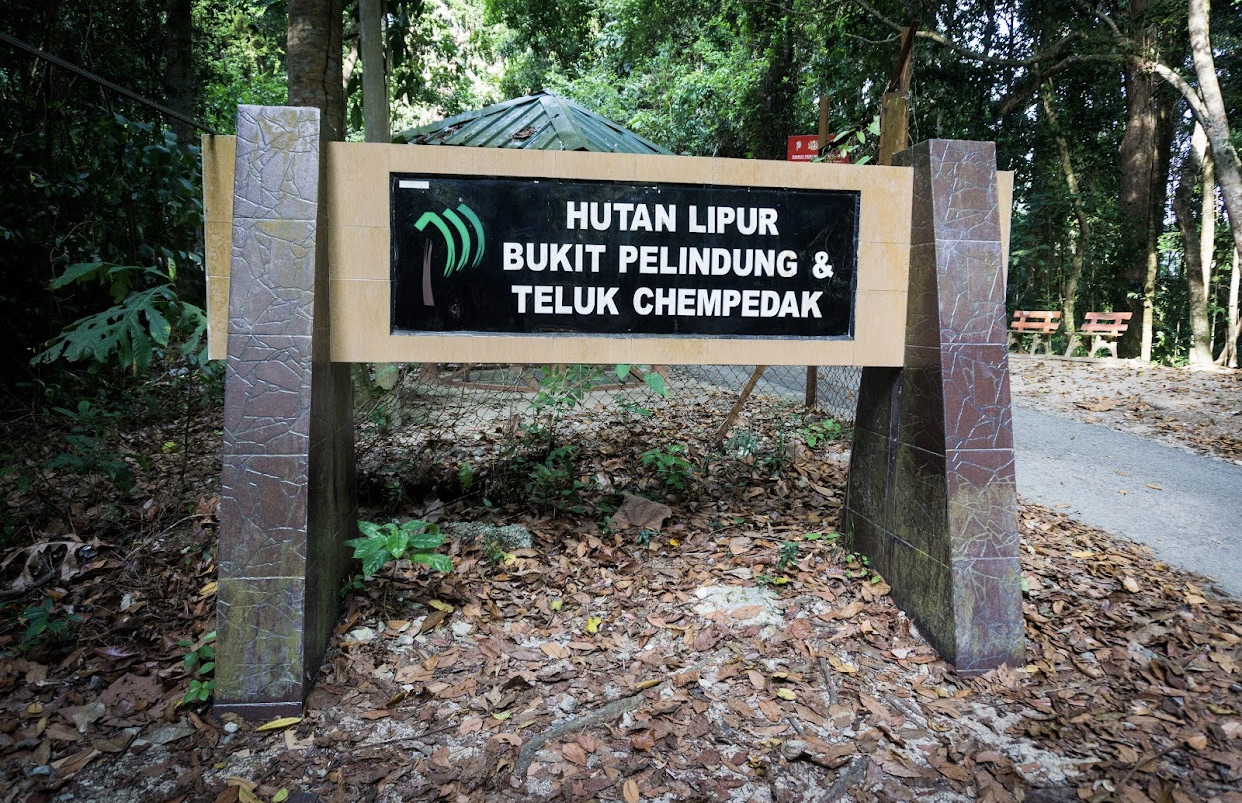 Bukit pelindung kuantan