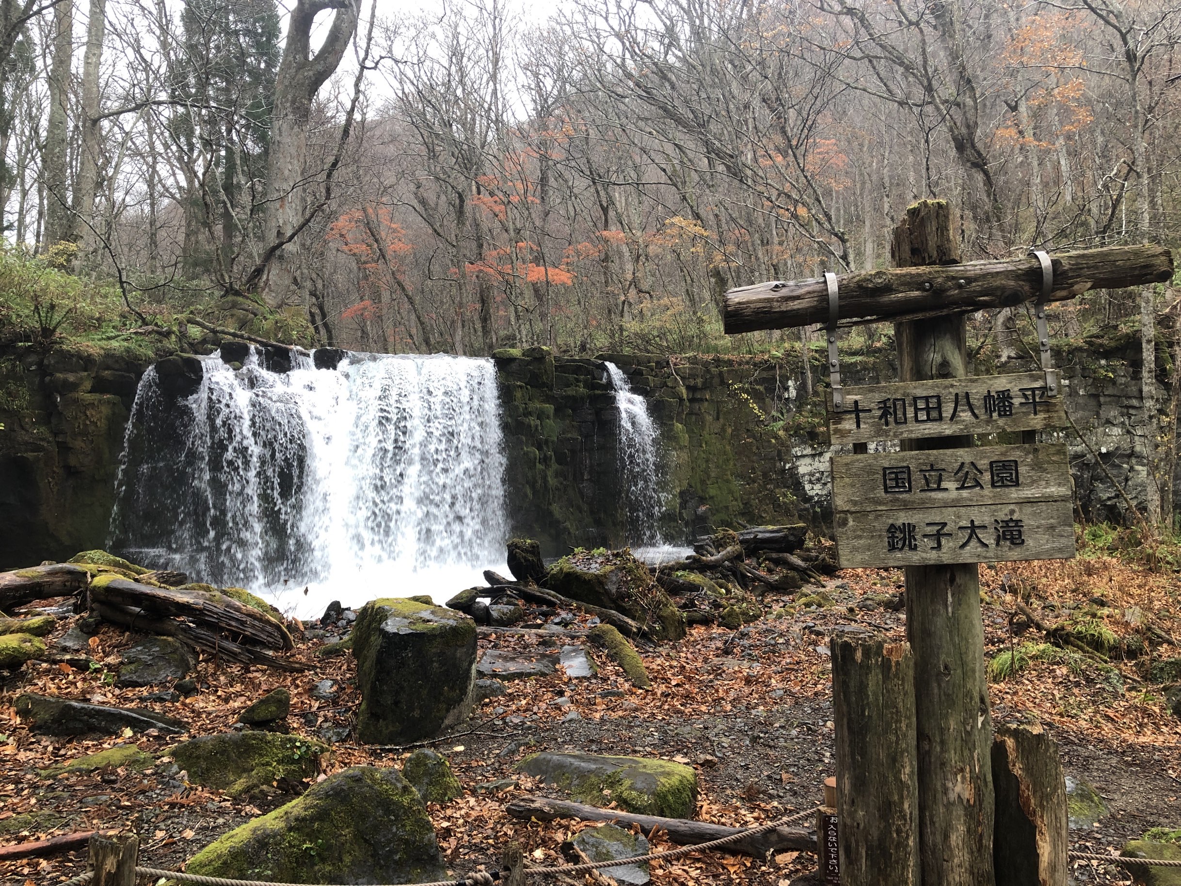 Oirase Gorge Attraction Reviews Oirase Gorge Tickets Oirase Gorge Discounts Oirase Gorge Transportation Address Opening Hours Attractions Hotels And Food Near Oirase Gorge Trip Com