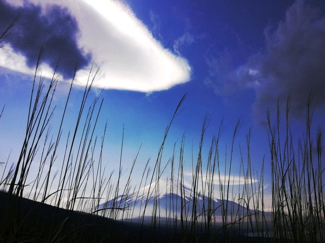 富士山頂的帽子云， 愜意的春天， 愜意的櫻花勝地