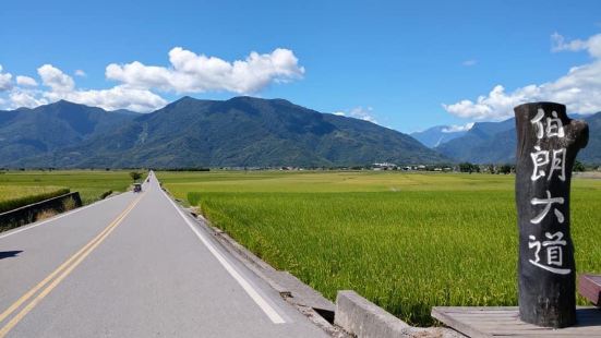 夏来缅怀广告冬日沉淀心灵不惧观光人头窜动风景依旧独自美丽蛙唱