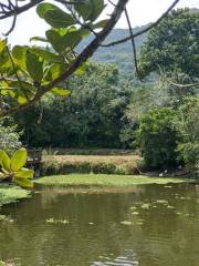 Matai’an Wetland Ecological Park