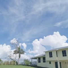 ビティ レブ島 フィジーズ エクルーサイブ ミュージアム 評判 案内 トリップドットコム