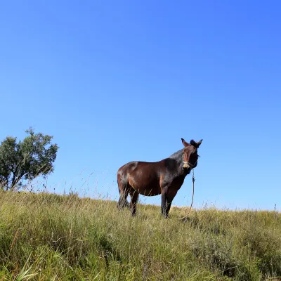 Отзывы об отеле Seogwipo Lighthouse and Olle Pension