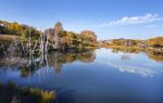 Shanghu Lake Scenic Area