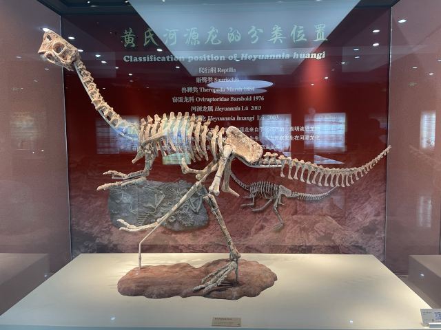 Heyuan City Museum (Heyuan Dinosaur Museum)