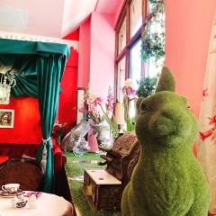 Richmond Tea Rooms 여행 사진
