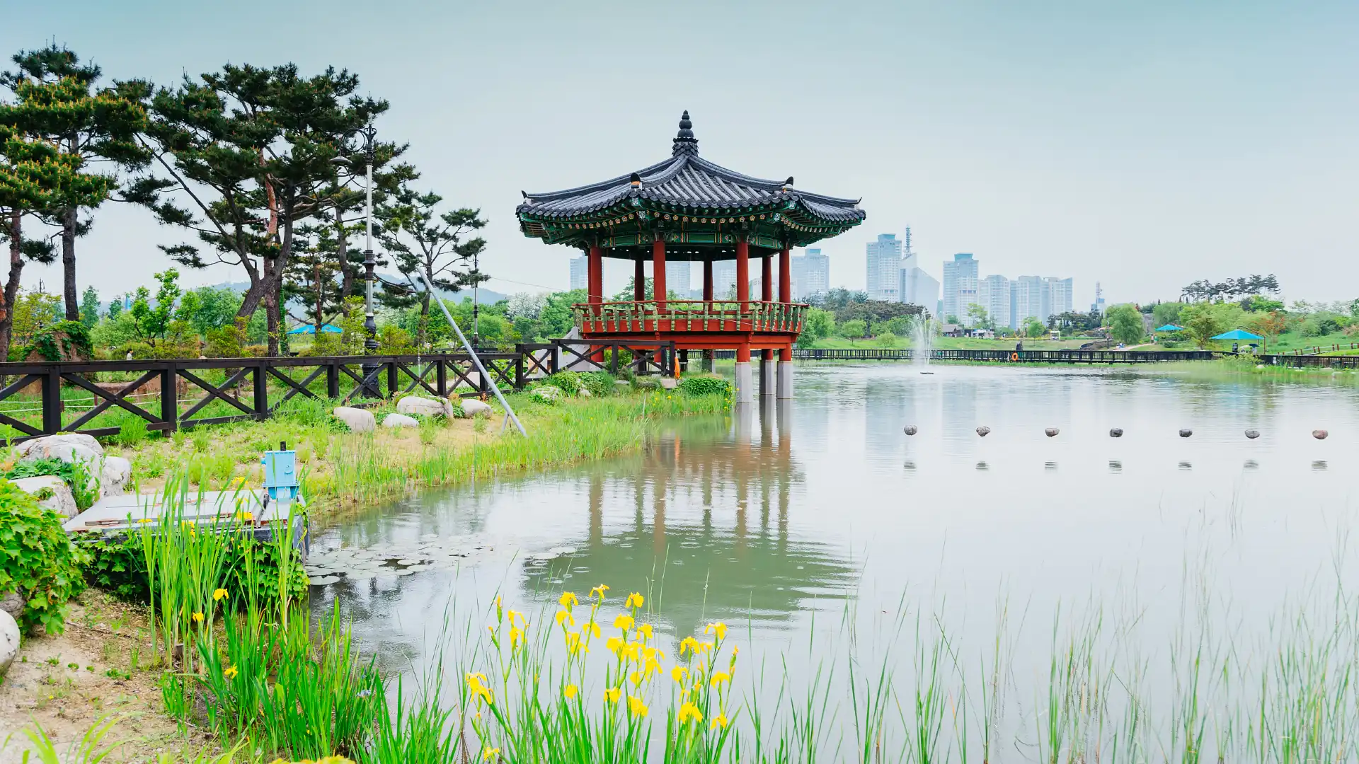 Hotels near Daejeon Expo Science Park