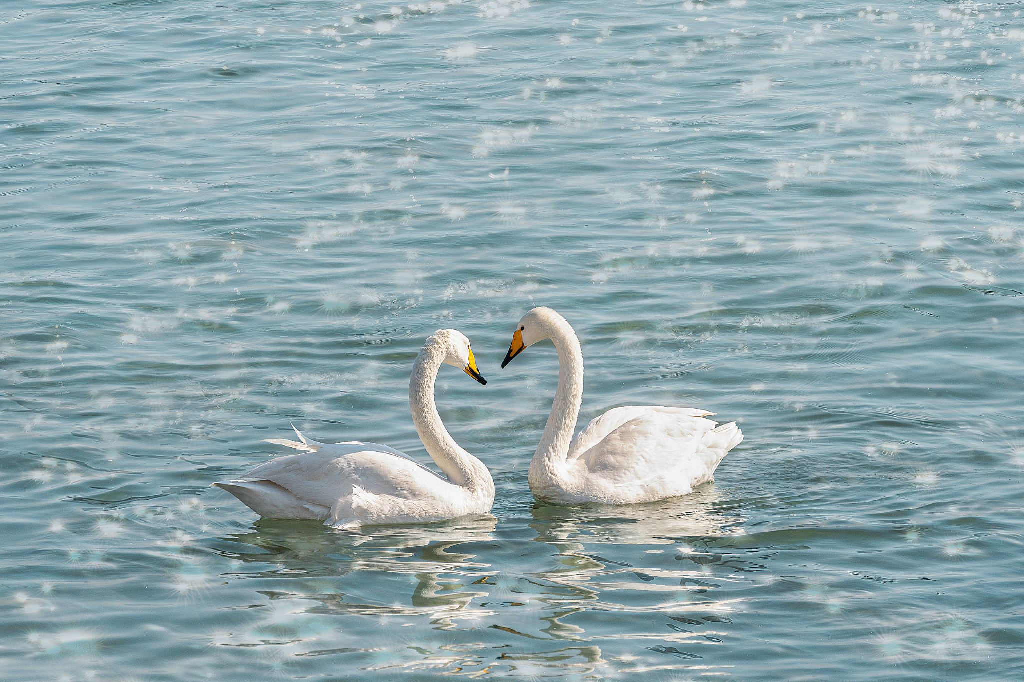 オーストリア・ザルツブルク+バート・イシュル宮殿 ロイヤルヴィラ+ヴォルフガング湖+ハルシュタット