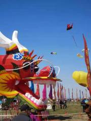 International Kite Flying Field