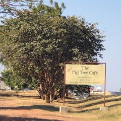 Fig Cafe Bar張用戶圖片