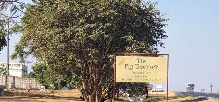 Fig Cafe Bar