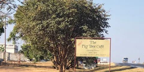 Fig Cafe Bar