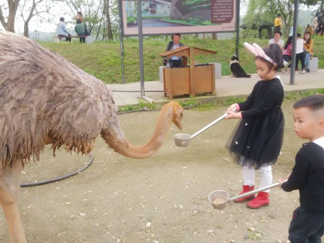 Yangsha Lake International Tourism Resort