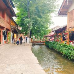 V·sherry User Photo