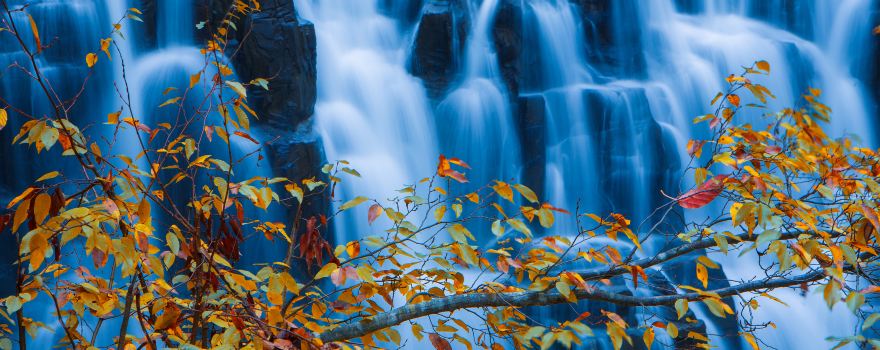 Tianshuxia Scenic Area