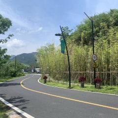 淳安酒家1986·千島湖地標美食張用戶圖片