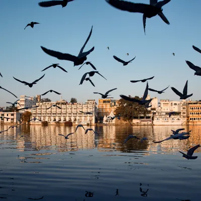 Flug Udaipur Neu-Delhi