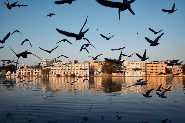 โรงแรมใกล้Shloka Digital Library Udaipur