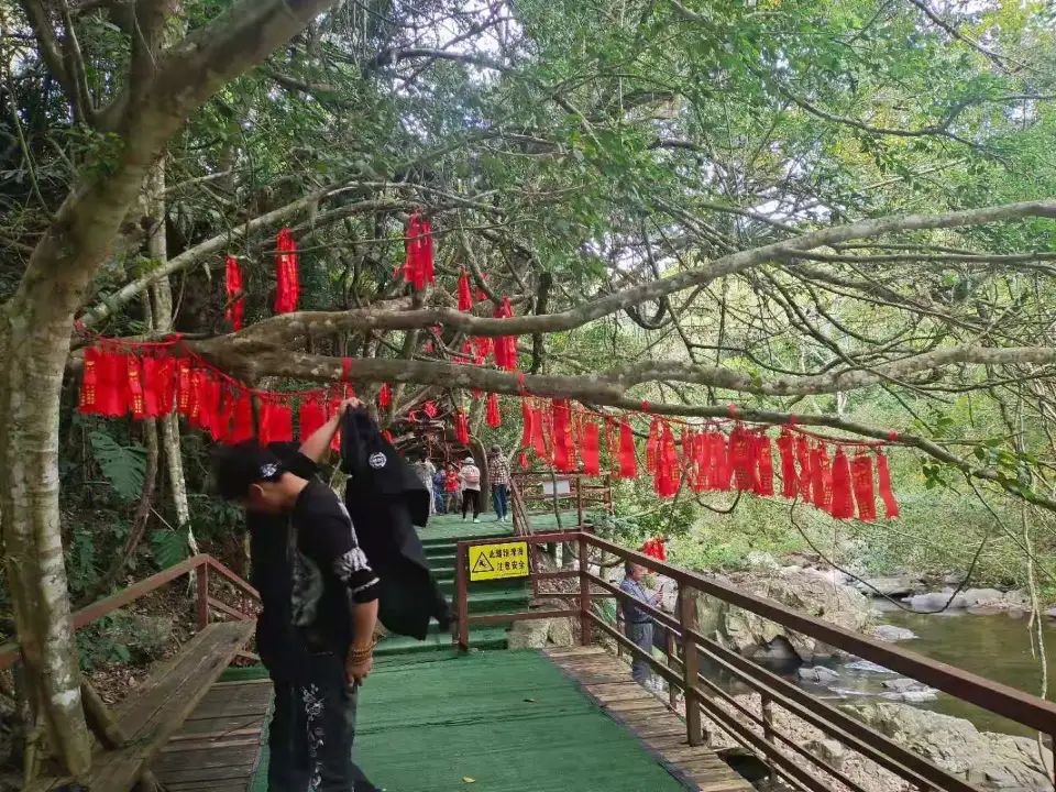 5_Tropic Rain Forest Scenery Spot of Five Finger Mountain