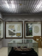 Gushengwu Huashi Museum