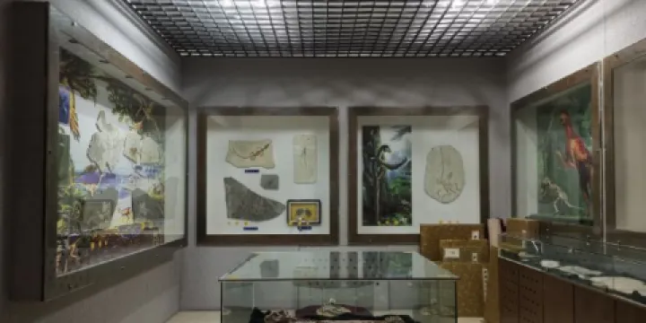 豐寧古生物化石博物館