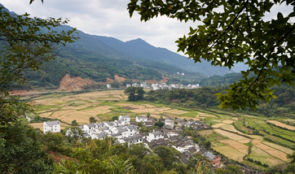 Cheng Village