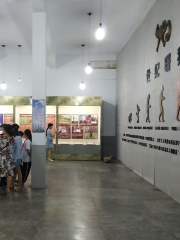 Yuanquxian Ziran Museum