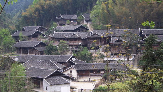 gu diao jiao lou qun