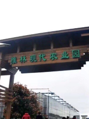 雅林現代農業園