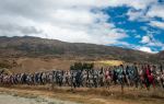 Cardrona Bra Fence