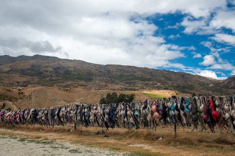 Cardrona Bra Fence