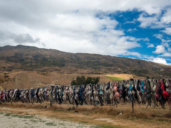 Cardrona Bra Fence