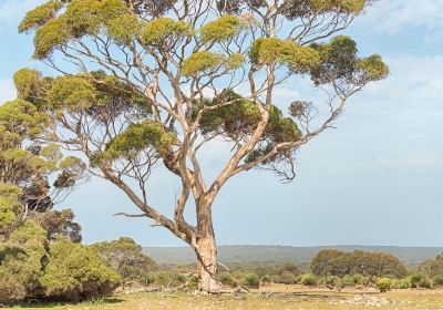 凱利山保育公園