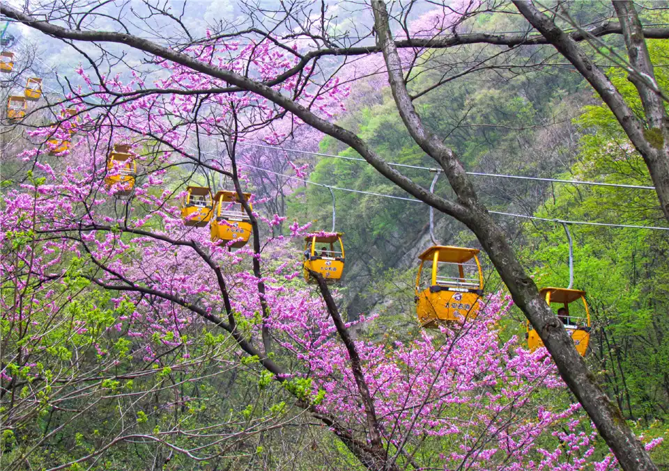 3_太平國家森林公園