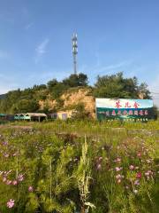 Экологический туризм и Экономический район Чжэньи