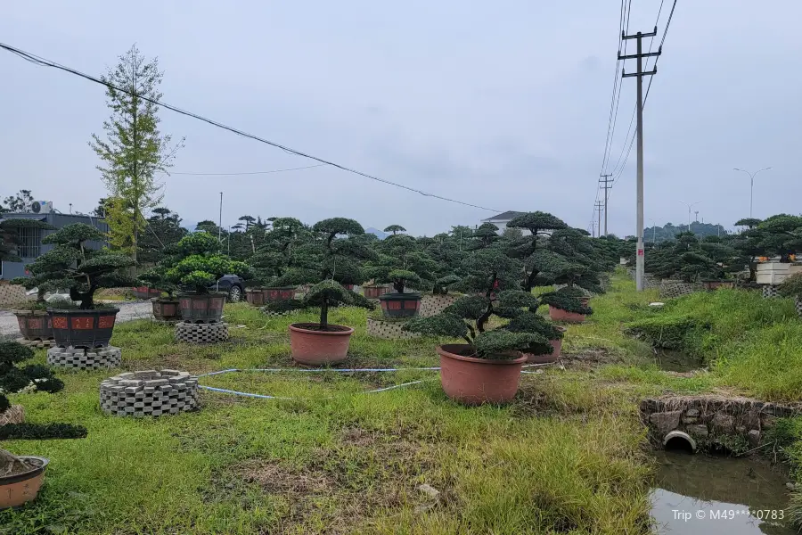 Tengtou Gardens