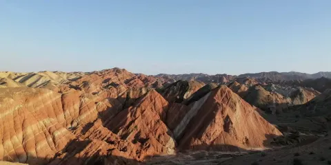 靈猴觀海