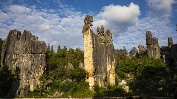 Minor Stone Forest - Ashima