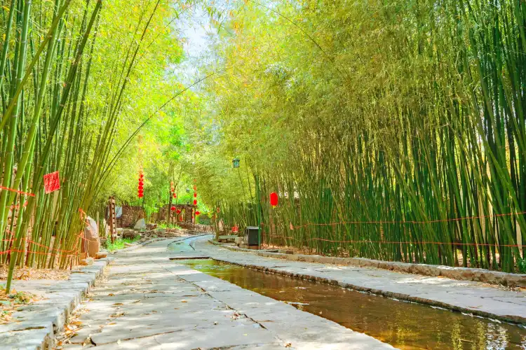 Hotels near Zhuquan Village