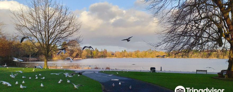 Lurgan Park